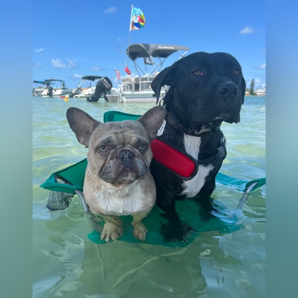 Featuring the HOTTEST in Quality, Sophistication, and Designer Deals! NEW ITEMS! - Picture 2 of 4